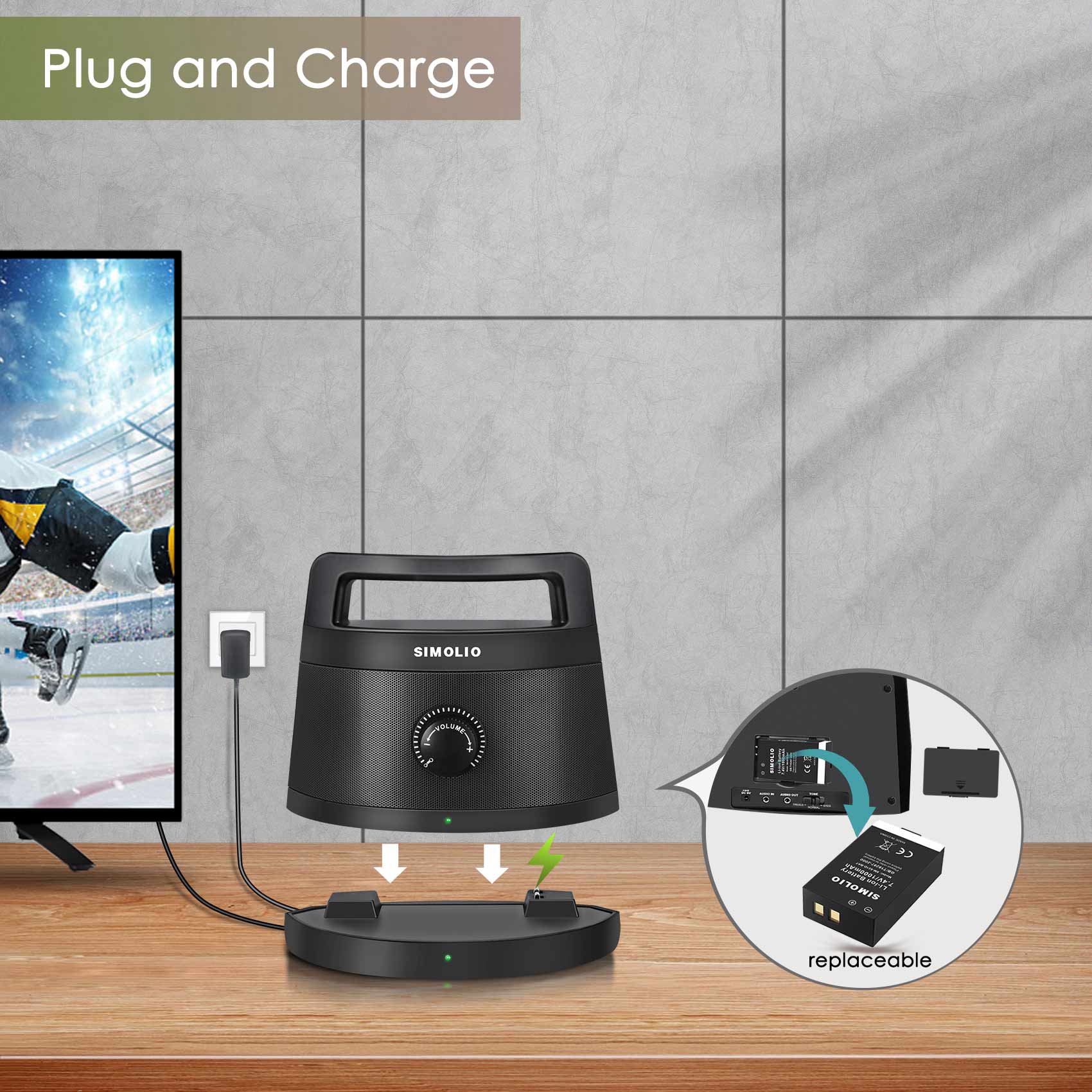 Wireless Portable TV Speakers